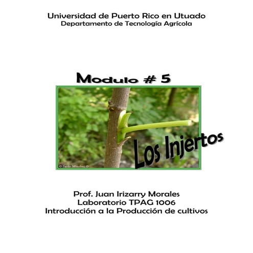 injertos en diferentes plantas | PPTX