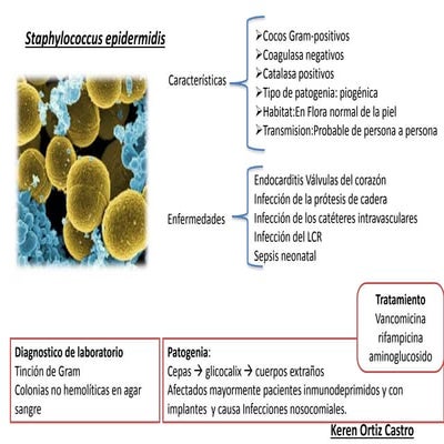 Staphylococus epidermidis y Helicobacter pilory