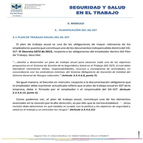 Plan y Programa Anual de Seguridad y Salud en el Trabajo | PDF