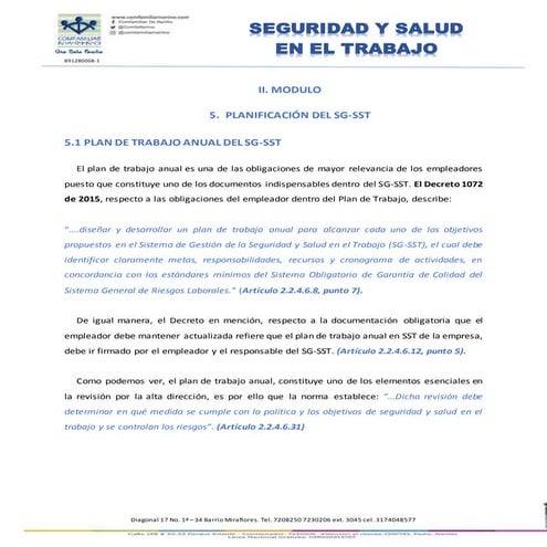 Plan y Programa Anual de Seguridad y Salud en el Trabajo | PDF