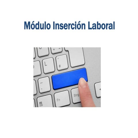 Modulo insercion laboral 1