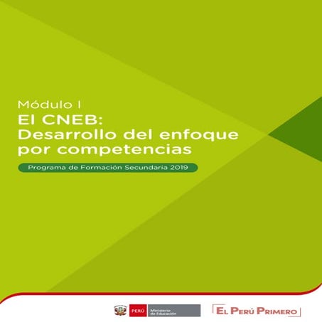 CNEB y el Desarrollo del Enfoque por Competencias | PDF