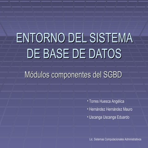 Funciones y Componente de un Sistema de Gestión de Base de Datos | PDF