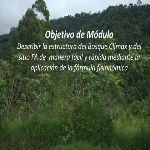 Fórmula Fisionómica en Forestería Análoga | PPTX