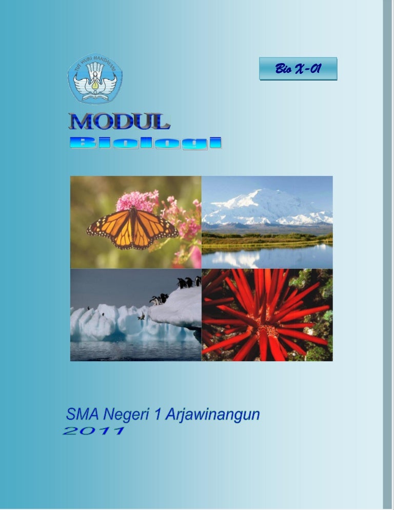 Soal Bio X Materi Insekta