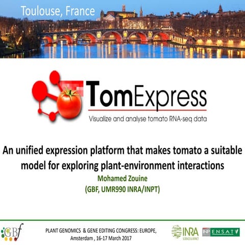 A Unified Expression Platform That Makes Tomato Suitable Model For Exploring Plant-Environment Interactions