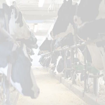 AIR QUALITY POWERFUL IMPACT powerpoint.pptx