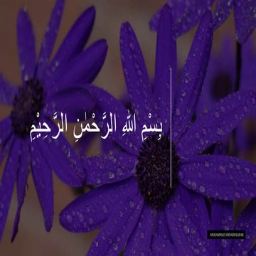 Mohammad shoaib babar