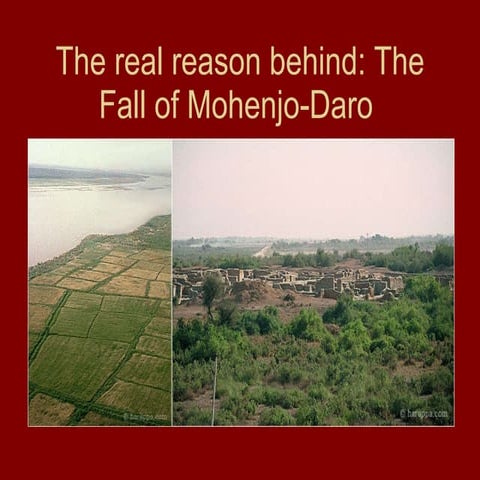 Mohenjo Daro