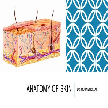 Structure and Anatomy of Skin ( Layer by Layer) | PPTX