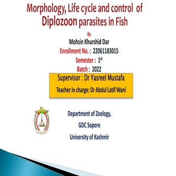 Diplozoon ppt by Mohsin Khurshid 