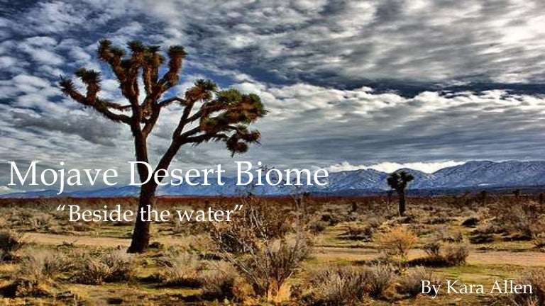 Mojave desert biome