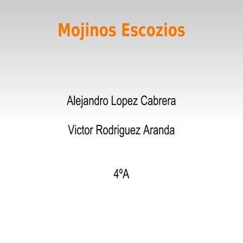Mojinos Escozios PPT