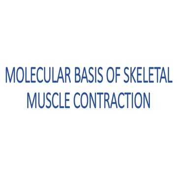 Molecular basis of Skeletal Muscle Contraction