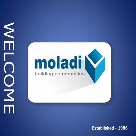 Moladi Construction Technology housing construction plastic formwork system