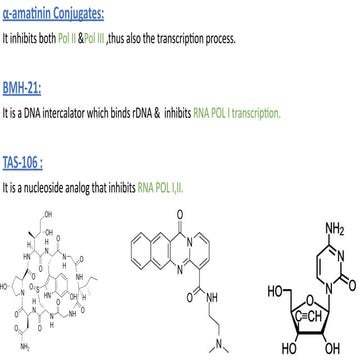 mol BIO 98KJ.pdf