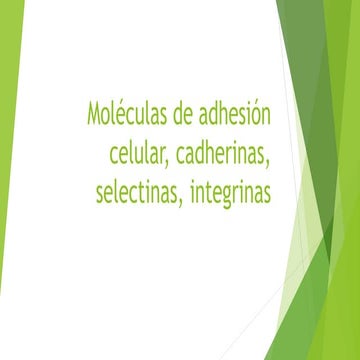 Moléculas de adhesión celular, cadherinas, selectinas | PPTX