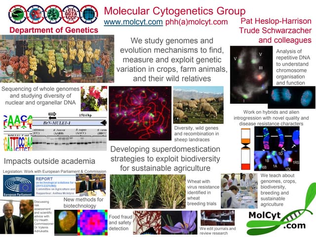 Molecular Cytogenetics Research Gro...