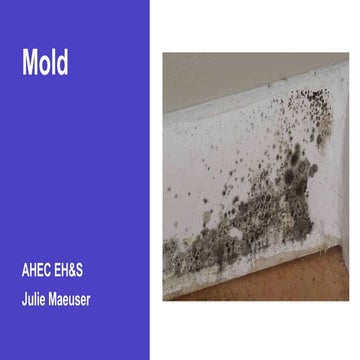 Mold | PPT