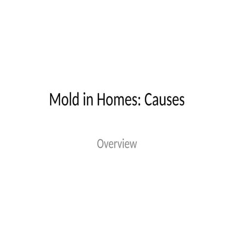 Mold Presentation | PPS