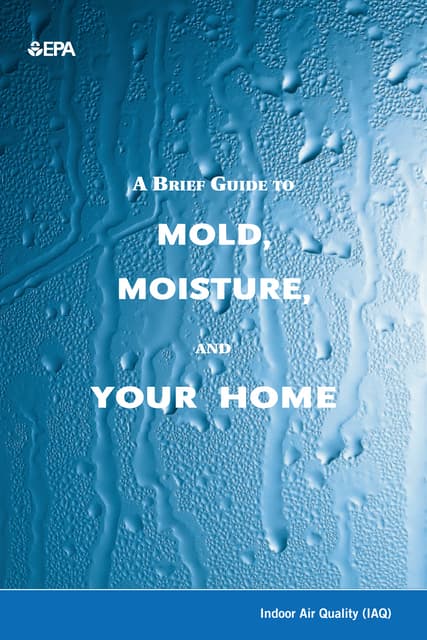 Mold Guide