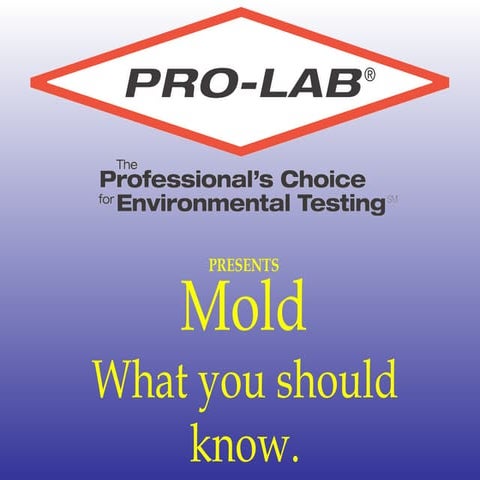 Mold Presentation | PPS
