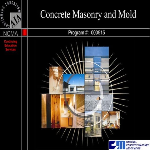 Mold Presentation | PDF