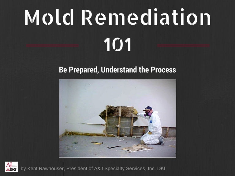 Mold remediation 101 Be Prepared, Understand the Process