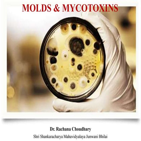 Molds and Mycotoxin.pptx