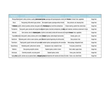 molds_characteristicsfoodmicrobiology.pdf