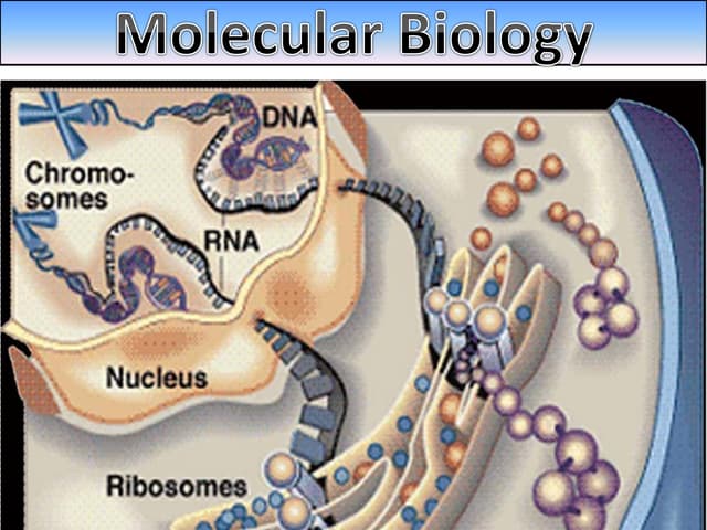 Molecular Biology: The Study of DNA and Genetics at the Molecular Level