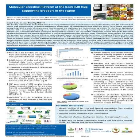 Molecular Breeding Platform at the BecA-ILRI Hub: Supporting breeders in the ...