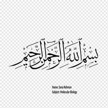 Introduction to nervous system Neuron structure , function and types