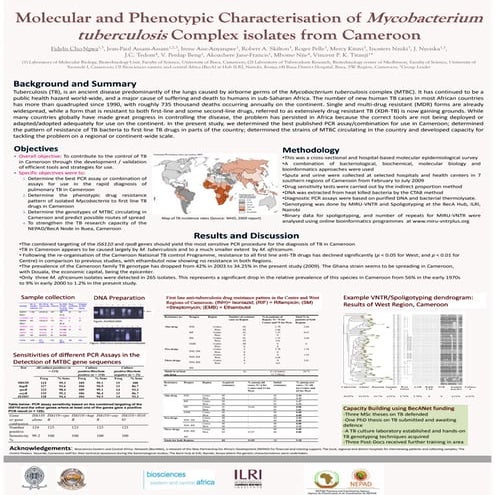 Molecular and phenotypic characterisation of mycobacterium tuberculosis complex