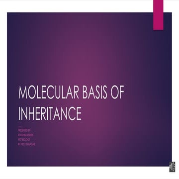 MOLECULAR BASIS IF Ibiolo NHERITANCE.pptx