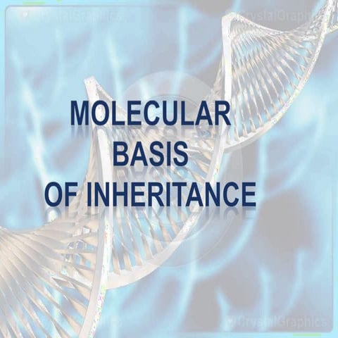molecularbasisofinheritane-ppt-.pptx