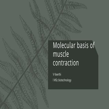 molecular basis of muscle contraction final..pptx