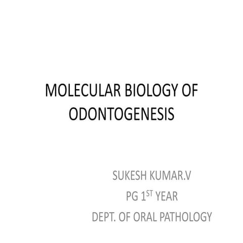 Molecular Basis of Tooth Development