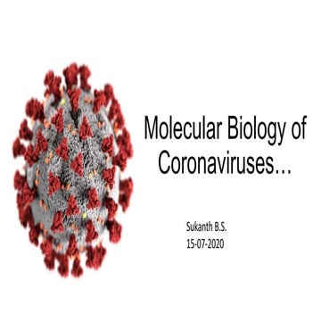 Molecular biology of coronaviruses