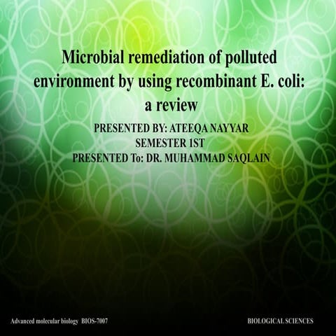 microbial remediation of polluted environment by using recombinant  ppt 002.pptx