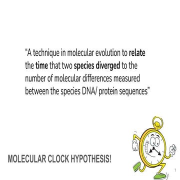 Molecular clock, Neutral hypothesis