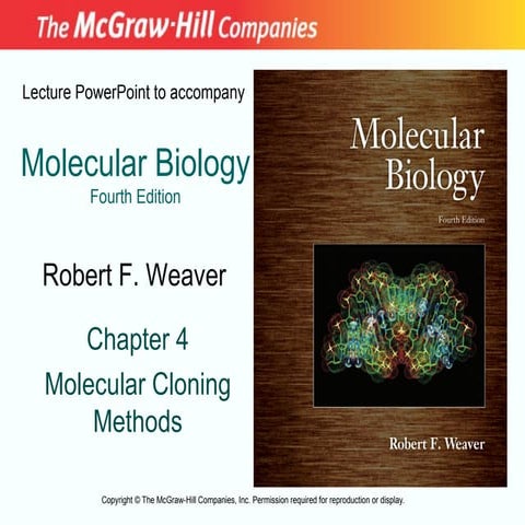 molecular cloning methods Lecture Note.ppt