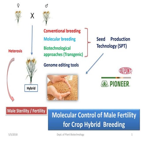 Molecular control of male fertility for crop hybrid breeding