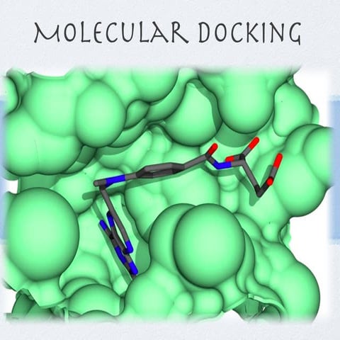 Molecular docking