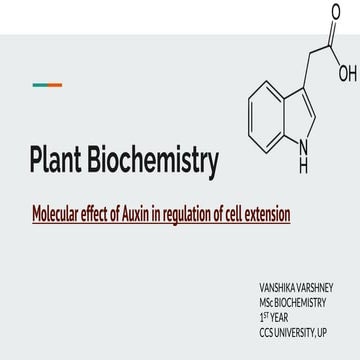 Molecular effect of auxin in regulation of cell extension.pptx