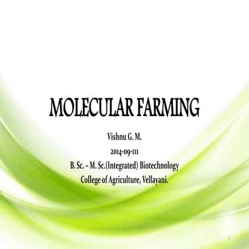 Molecular farming of biopharmacuetical