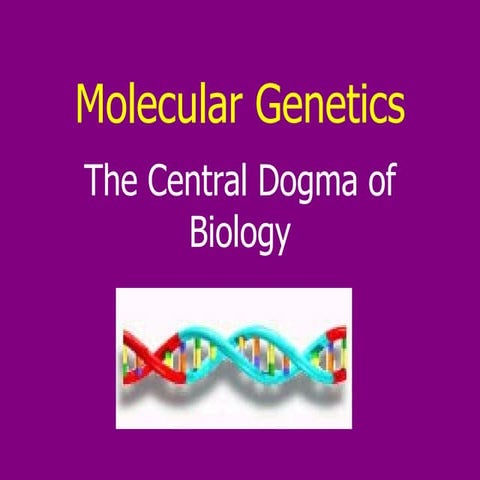 Molecular Genetics