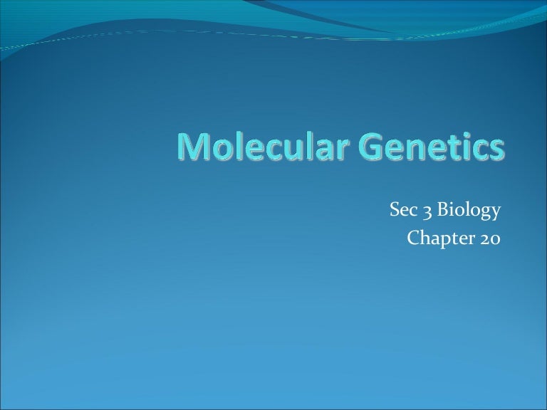 Molecular Genetics