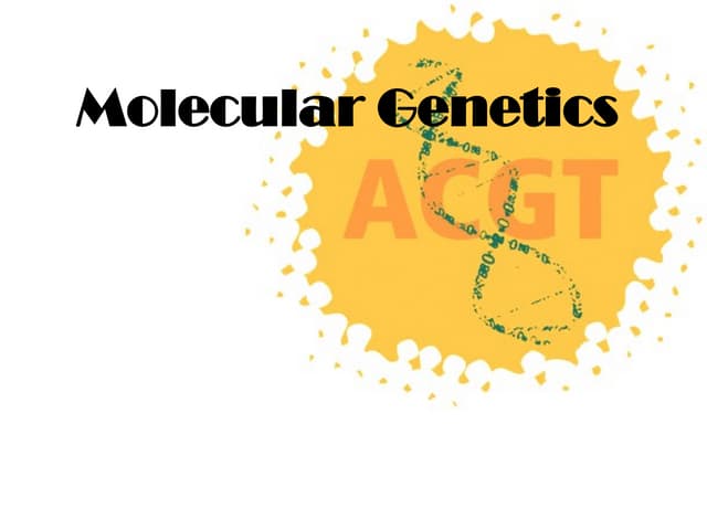 อนูพันธุศาสตร์ (Molecular  Genetics)