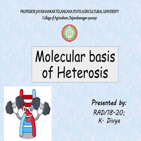 Molecular heterosis